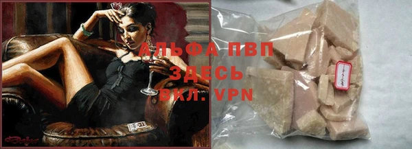 индика Абинск
