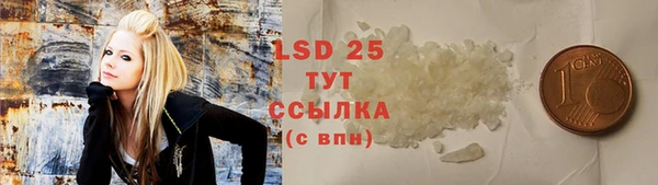 индика Абинск
