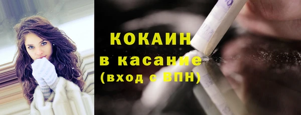 гидра Абаза