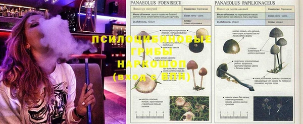 индика Абинск
