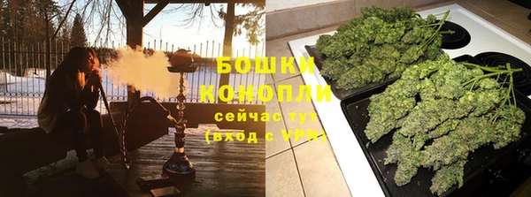 индика Абинск