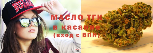 гидра Абаза