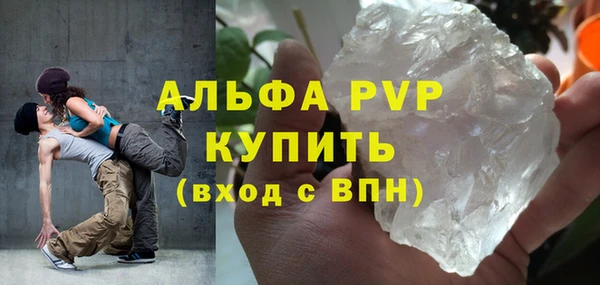 гидра Абаза