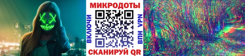 mega tor  хочу   Нижняя Тура  Галлюциногенные грибы Psilocybe 